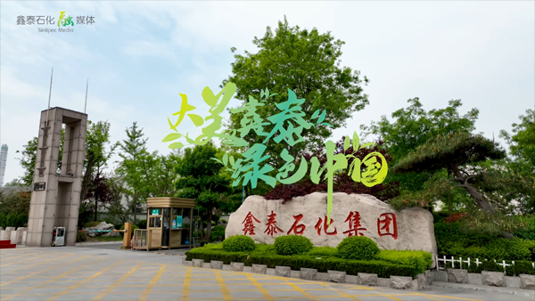 大美鑫泰 绿色中国